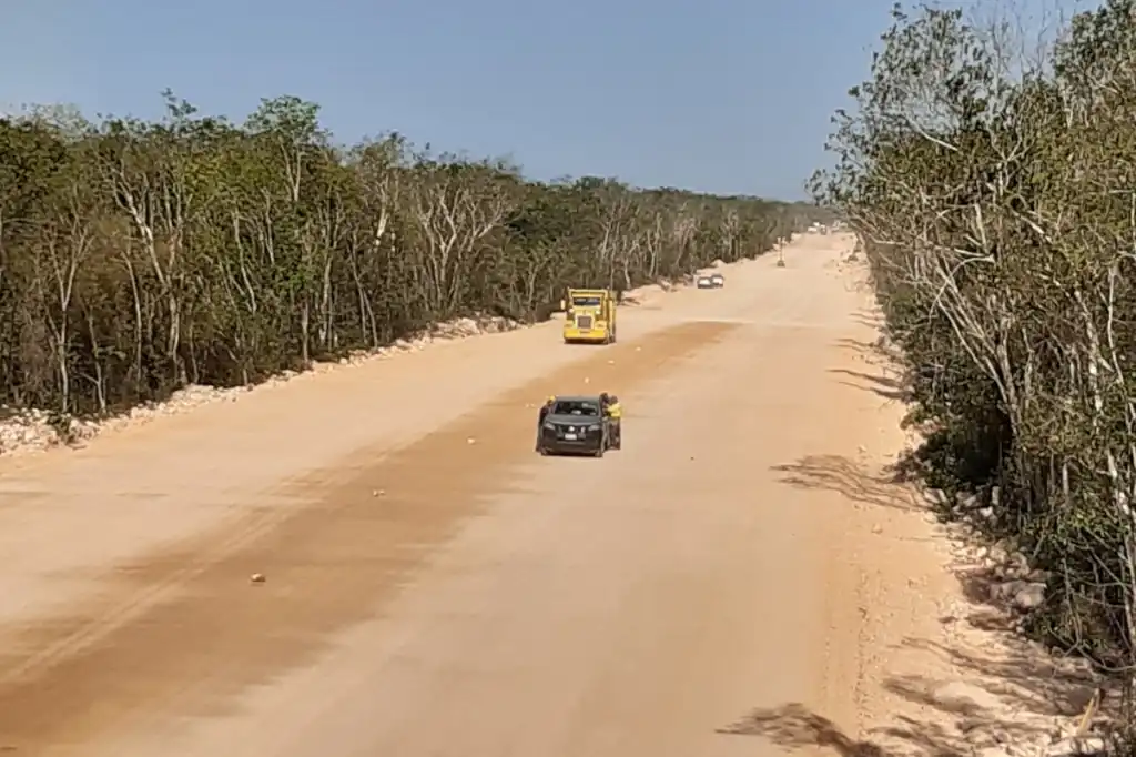 En Maxcanú, Yucatán, la deforestación del paisaje es evidente. Hace una década, la selva tropical cubría la zona con un manto verde, pero hoy las granjas porcícolas, los caminos y las zonas de extracción de tierra roja están reemplazándola.