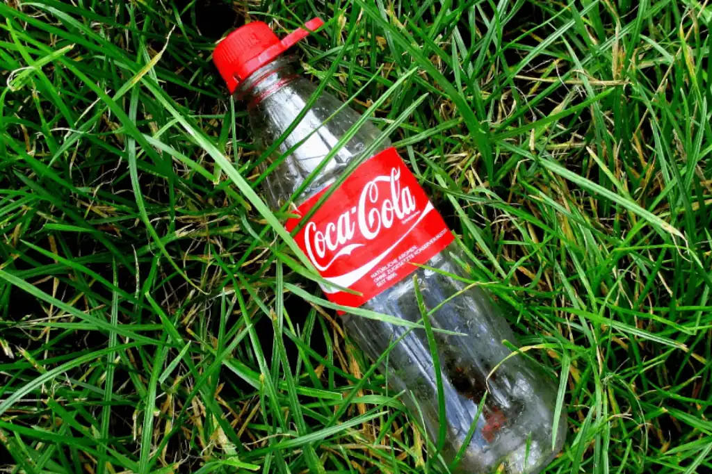 Greenwashing: El engaño ecológico de Coca-Cola, Nestlé y Danone que pone en jaque al planeta