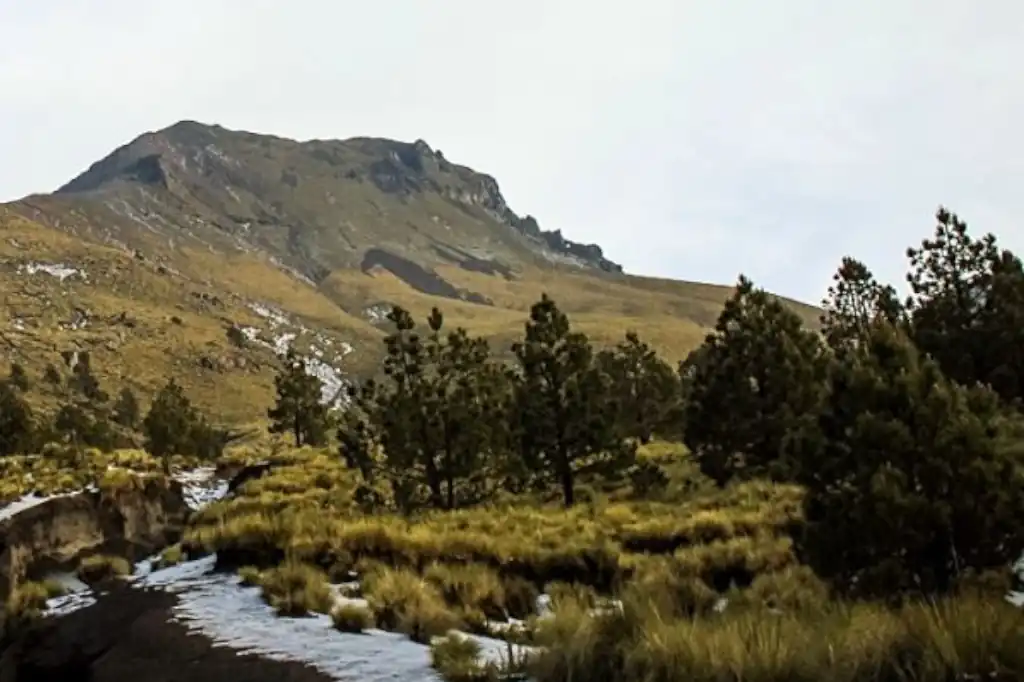 Mujeres indígenas alzan la voz por tala ilegal disfrazada de saneamiento en La Malinche