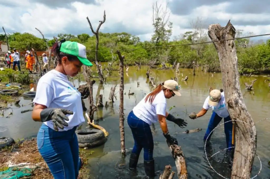 Defensa de los manglares en Veracruz: Comunidad y conservación en acción
