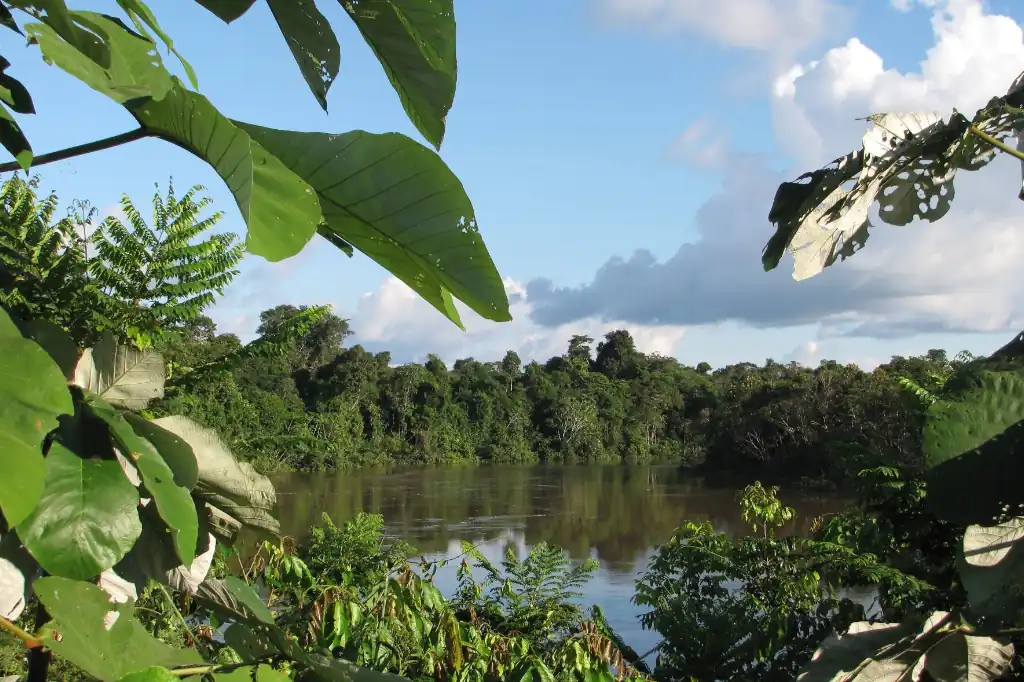 México, un peligro para quienes quieren proteger el medio ambiente