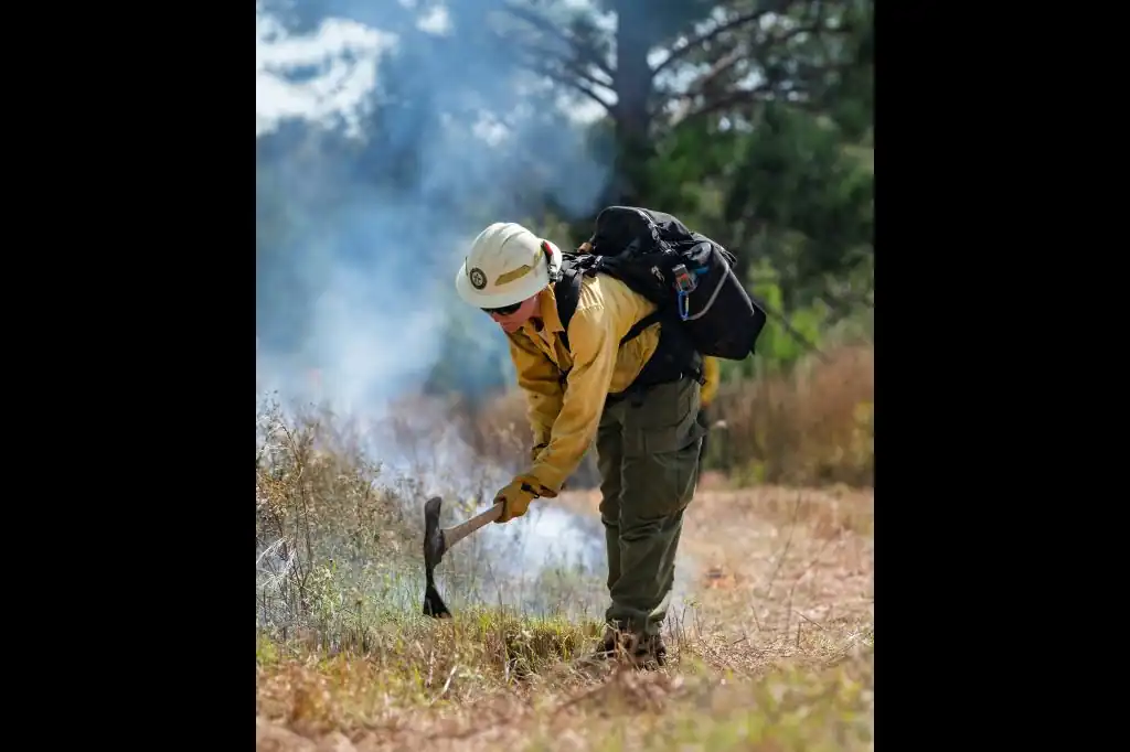 Denuncian incendios provocados en Acuitlapilco: un crimen ecológico en curso.