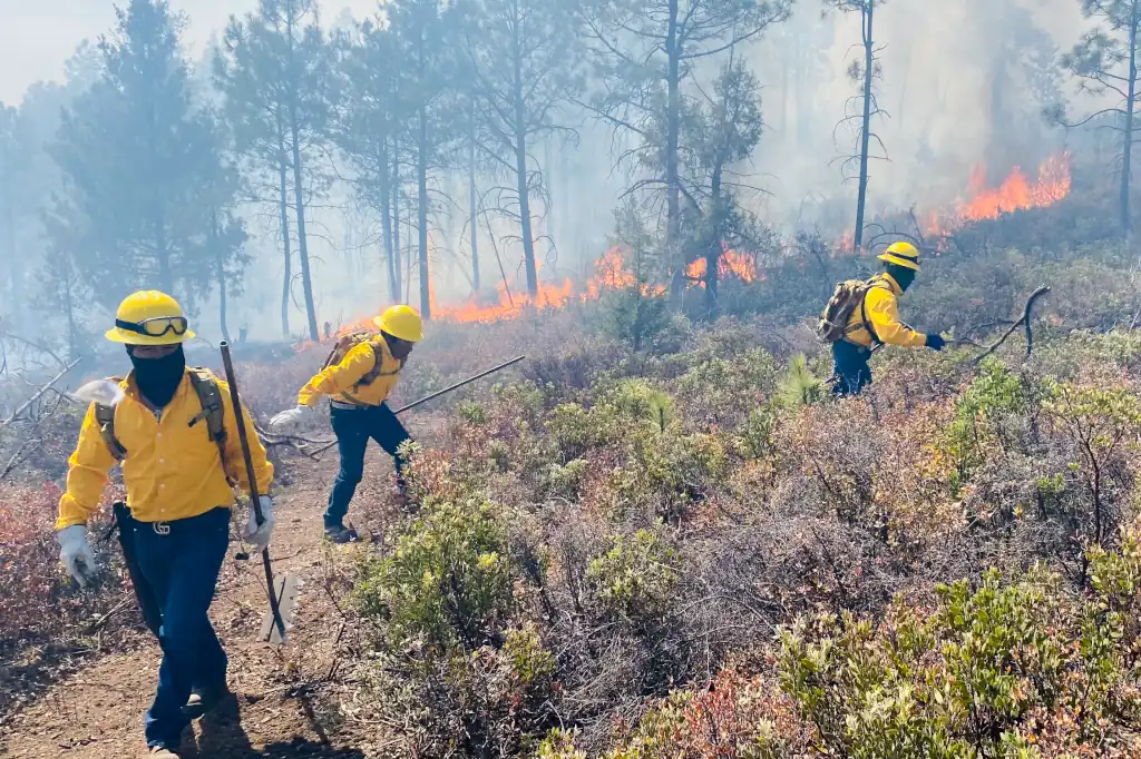 Denuncian incendios provocados en Acuitlapilco: un crimen ecológico en curso