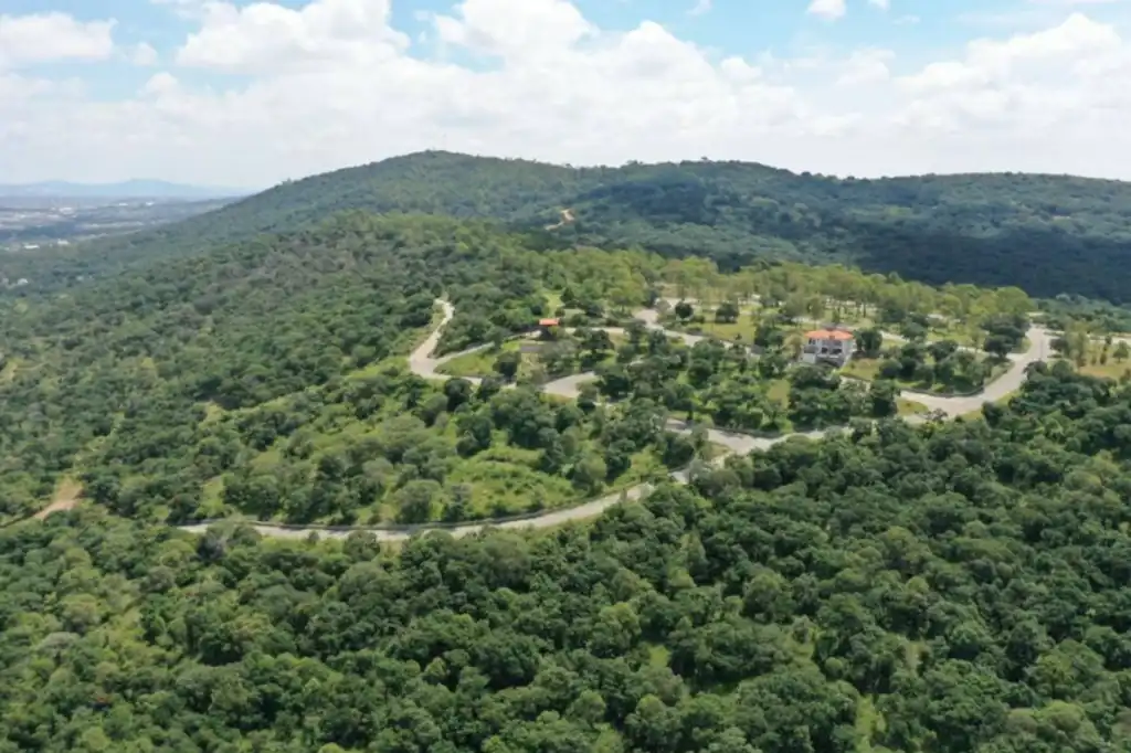 Parque Estatal Flor del Bosque:  en la mira del negocio inmobiliario